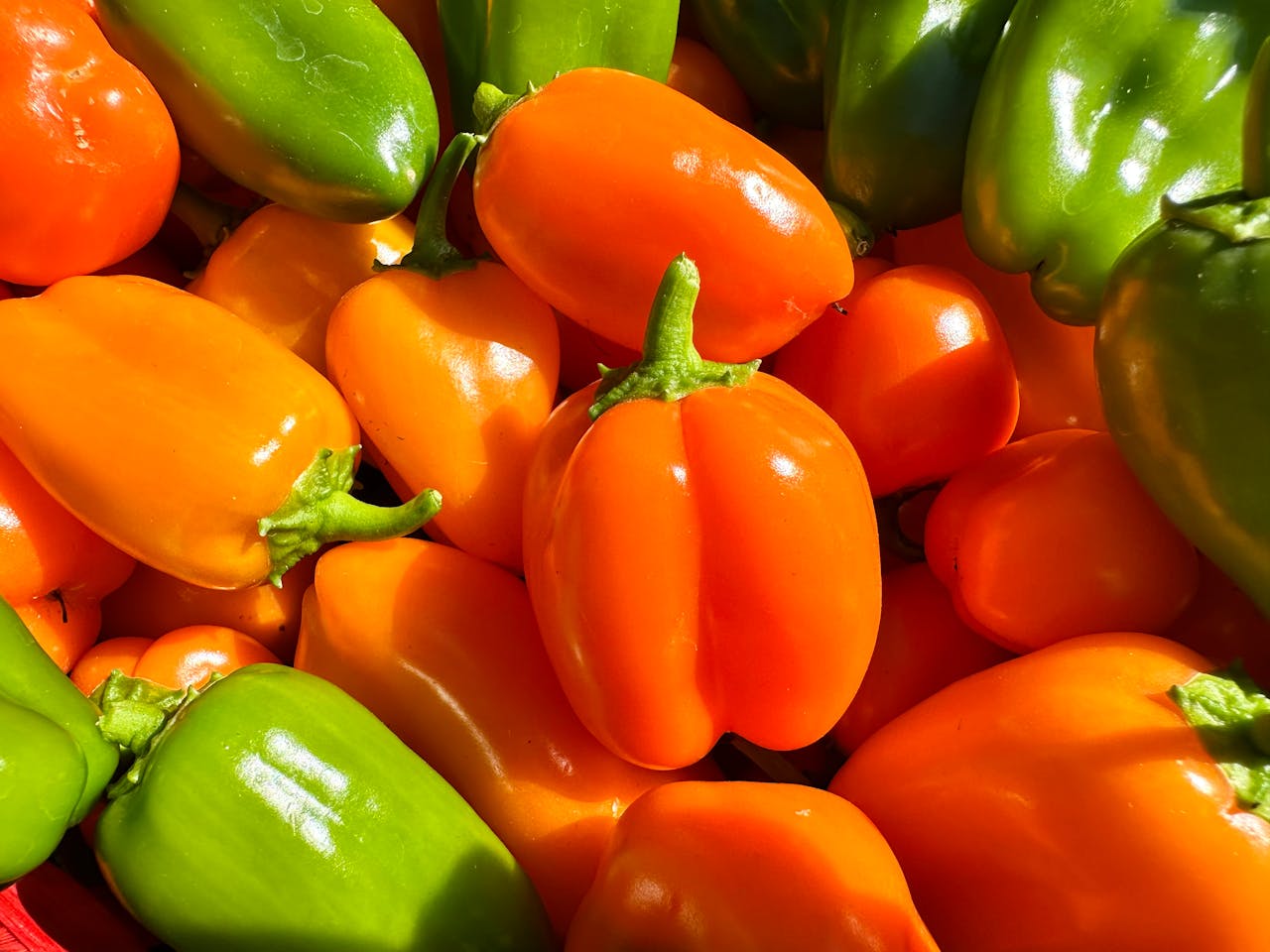 hero-img-02 A vibrant display of orange and green bell peppers basking in sunlight.