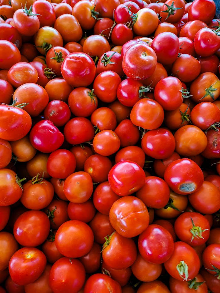 gallery-1 Close-up of fresh, organic tomatoes stacked together, showcasing vibrant red hues and healthy farm produce.